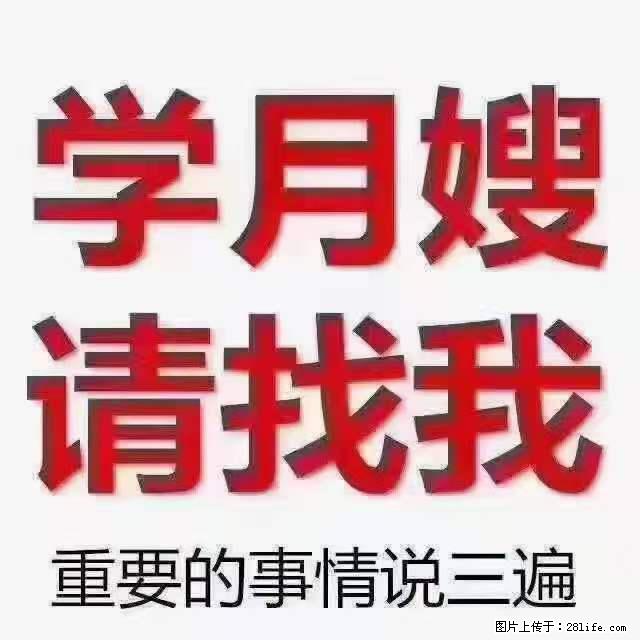 为什么要学习月嫂，育婴师？ - 其他广告 - 广告专区 - 赵县分类信息 - 赵县28生活网 zx.28life.com