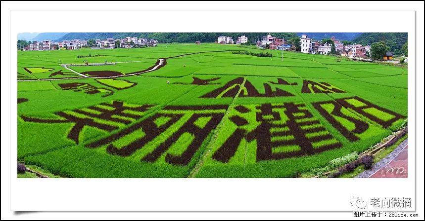 【春天,广西桂林灌阳县向您发出邀请!】开篇 - 游山玩水 - 赵县生活社区 - 赵县28生活网 zx.28life.com