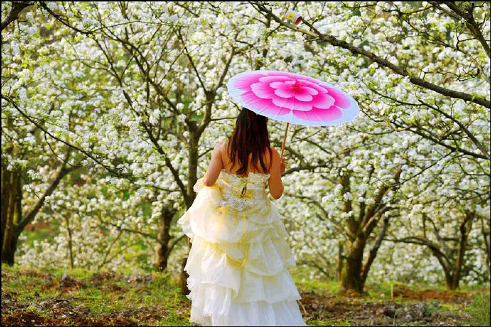 【春天,广西桂林灌阳县向您发出邀请!】我们在灌阳看梨花 - 游山玩水 - 赵县生活社区 - 赵县28生活网 zx.28life.com