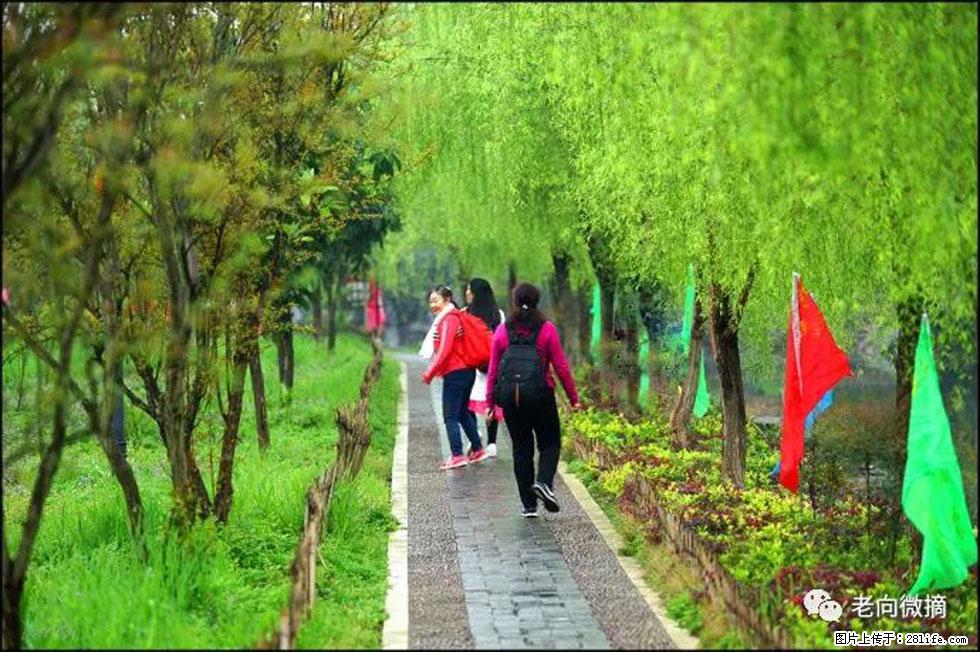 【春天，广西桂林灌阳县向您发出邀请！】江口老街又逢春 - 游山玩水 - 赵县生活社区 - 赵县28生活网 zx.28life.com