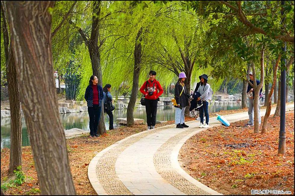 【春天，广西桂林灌阳县向您发出邀请！】江口老街又逢春 - 游山玩水 - 赵县生活社区 - 赵县28生活网 zx.28life.com