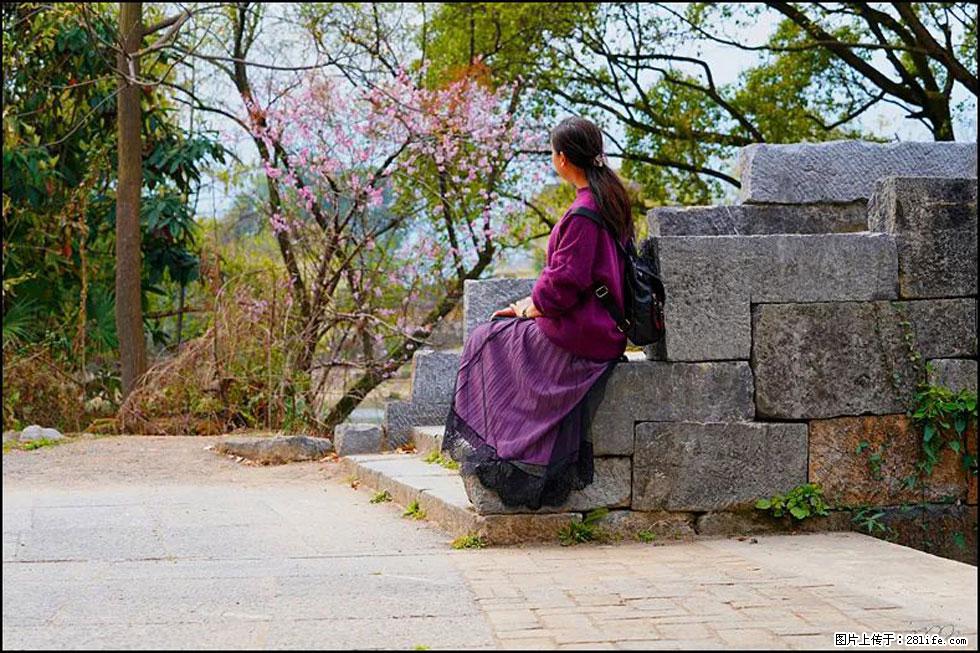 【春天，广西桂林灌阳县向您发出邀请！】江口老街又逢春 - 游山玩水 - 赵县生活社区 - 赵县28生活网 zx.28life.com