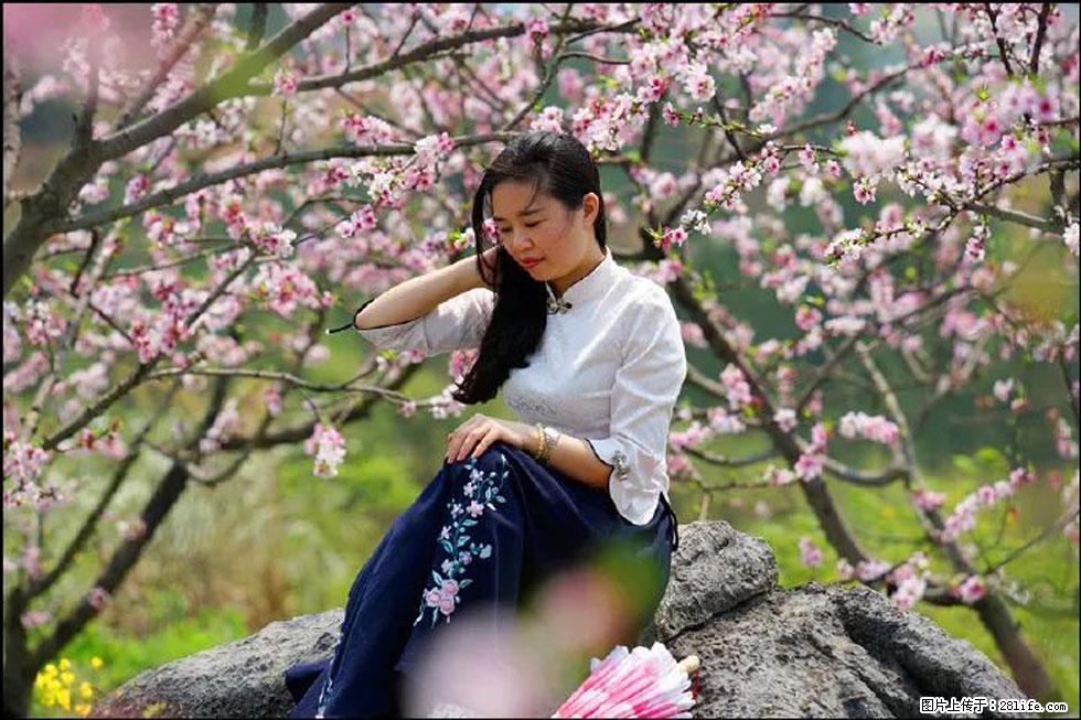 【春天,广西桂林灌阳县向您发出邀请!】望月岭上桃花开 - 游山玩水 - 赵县生活社区 - 赵县28生活网 zx.28life.com