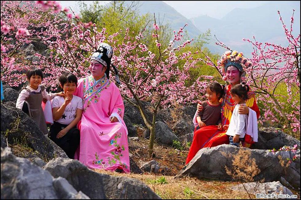 【春天,广西桂林灌阳县向您发出邀请!】望月岭上桃花开 - 游山玩水 - 赵县生活社区 - 赵县28生活网 zx.28life.com