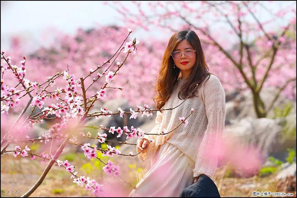 【春天,广西桂林灌阳县向您发出邀请!】望月岭上桃花开 - 游山玩水 - 赵县生活社区 - 赵县28生活网 zx.28life.com