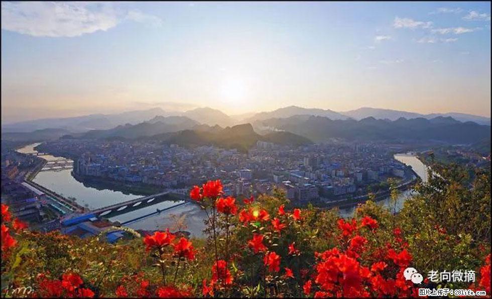 【春天,广西桂林灌阳县向您发出邀请!】登麒麟山,相约映山红 - 游山玩水 - 赵县生活社区 - 赵县28生活网 zx.28life.com