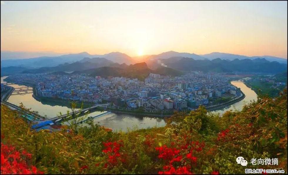 【春天,广西桂林灌阳县向您发出邀请!】登麒麟山,相约映山红 - 游山玩水 - 赵县生活社区 - 赵县28生活网 zx.28life.com