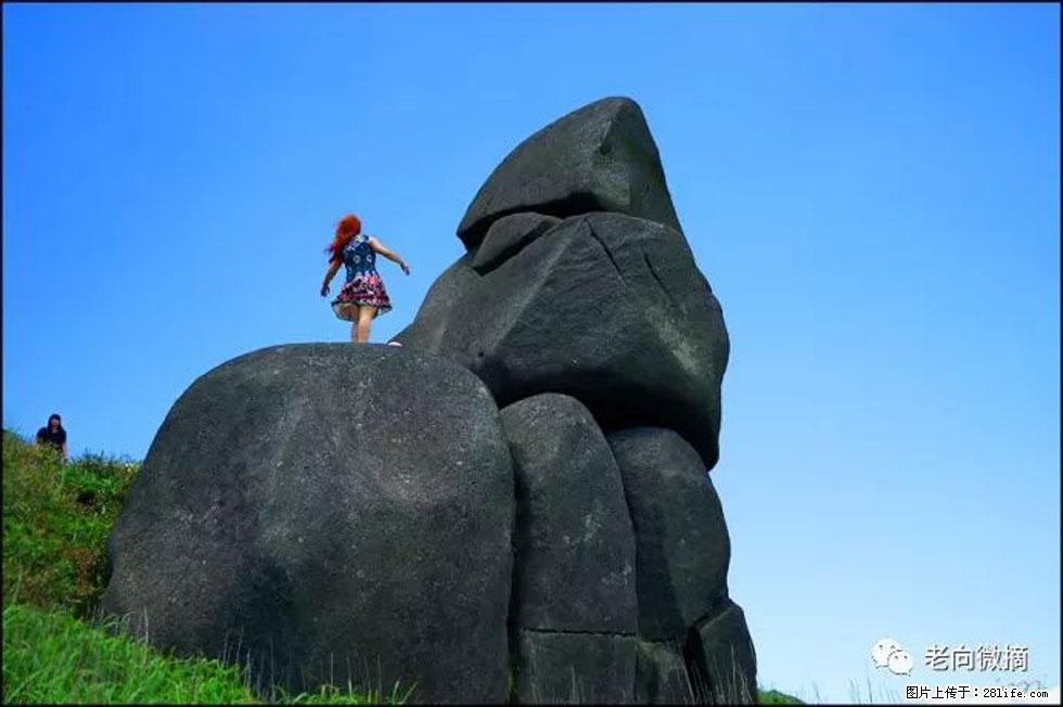 【春天,广西桂林灌阳县向您发出邀请!】宝盖山上映山红 - 游山玩水 - 赵县生活社区 - 赵县28生活网 zx.28life.com