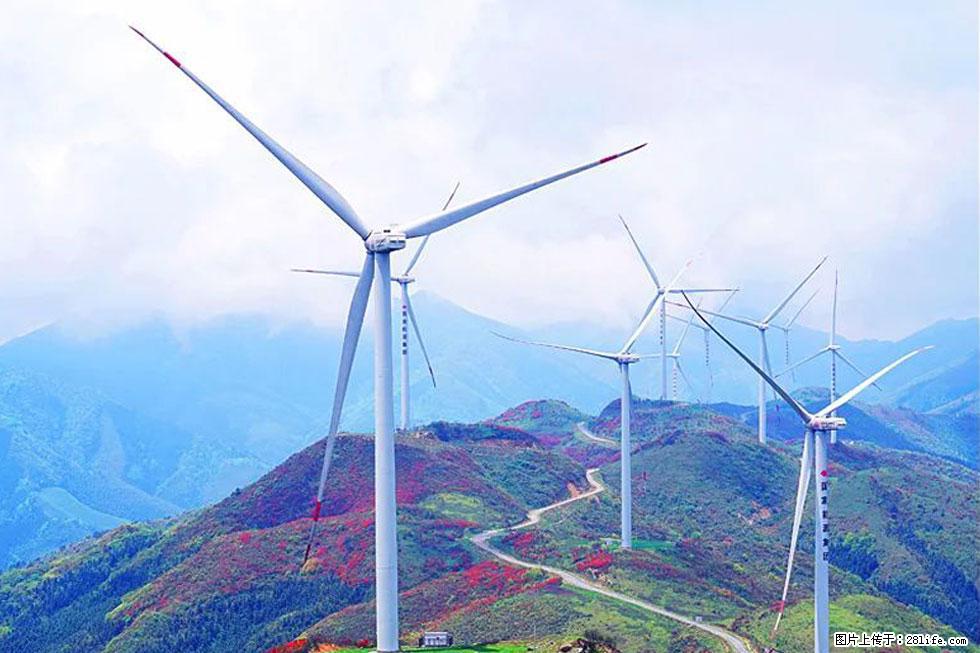 【春天,广西桂林灌阳县向您发出邀请!】春木界上映山红 - 游山玩水 - 赵县生活社区 - 赵县28生活网 zx.28life.com