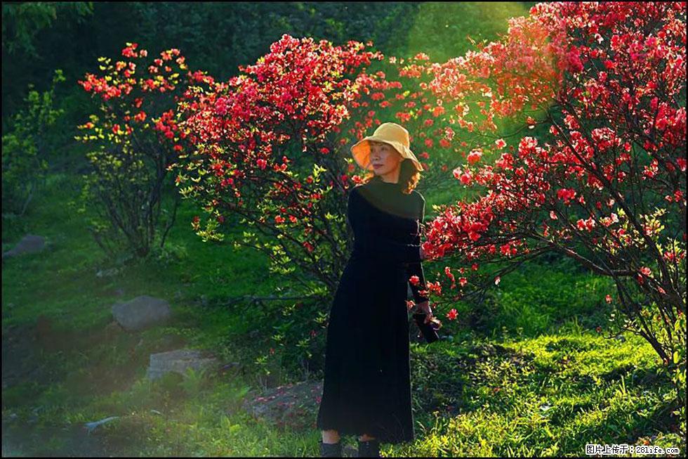 【春天,广西桂林灌阳县向您发出邀请!】春木界上映山红 - 游山玩水 - 赵县生活社区 - 赵县28生活网 zx.28life.com