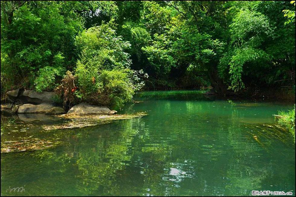 【春天,广西桂林灌阳县向您发出邀请!】如梦似幻莲溪庐 - 游山玩水 - 赵县生活社区 - 赵县28生活网 zx.28life.com