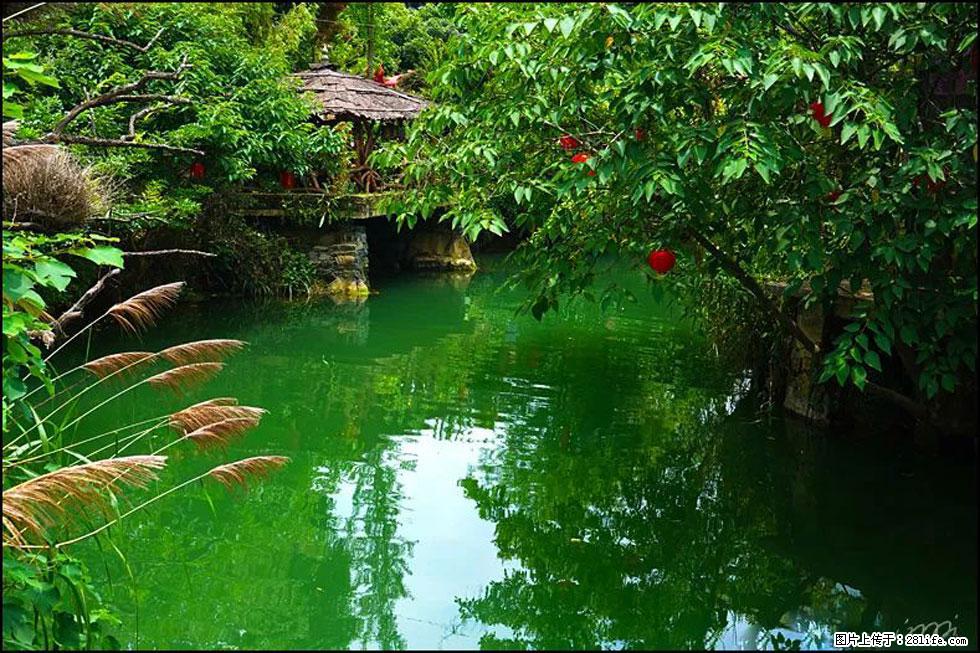 【春天,广西桂林灌阳县向您发出邀请!】如梦似幻莲溪庐 - 游山玩水 - 赵县生活社区 - 赵县28生活网 zx.28life.com