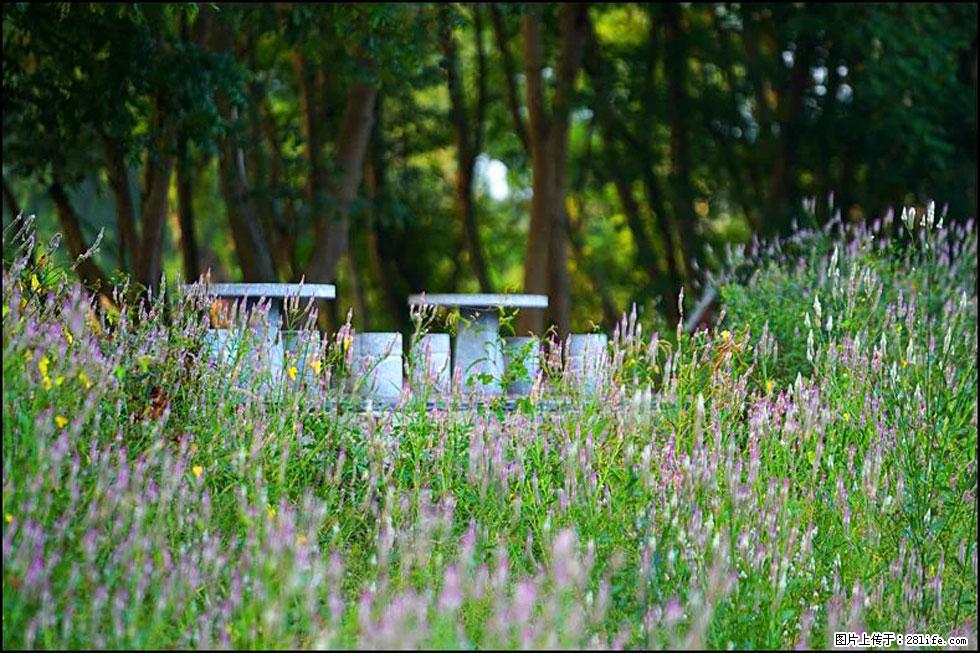 【春天,广西桂林灌阳县向您发出邀请!】熊家寨湿地公园 - 游山玩水 - 赵县生活社区 - 赵县28生活网 zx.28life.com