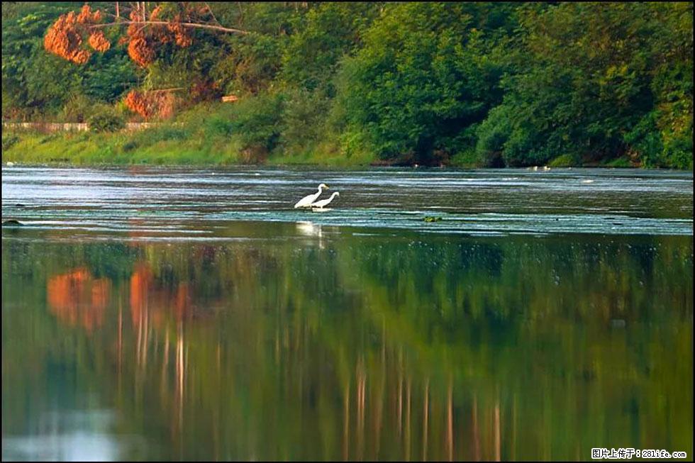 【春天,广西桂林灌阳县向您发出邀请!】熊家寨湿地公园 - 游山玩水 - 赵县生活社区 - 赵县28生活网 zx.28life.com