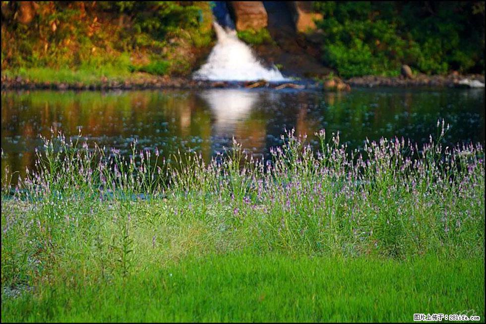 【春天,广西桂林灌阳县向您发出邀请!】熊家寨湿地公园 - 游山玩水 - 赵县生活社区 - 赵县28生活网 zx.28life.com