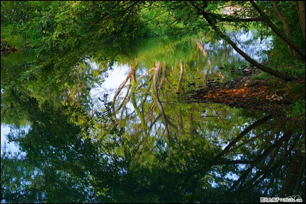 【春天,广西桂林灌阳县向您发出邀请!】熊家寨湿地公园 - 游山玩水 - 赵县生活社区 - 赵县28生活网 zx.28life.com