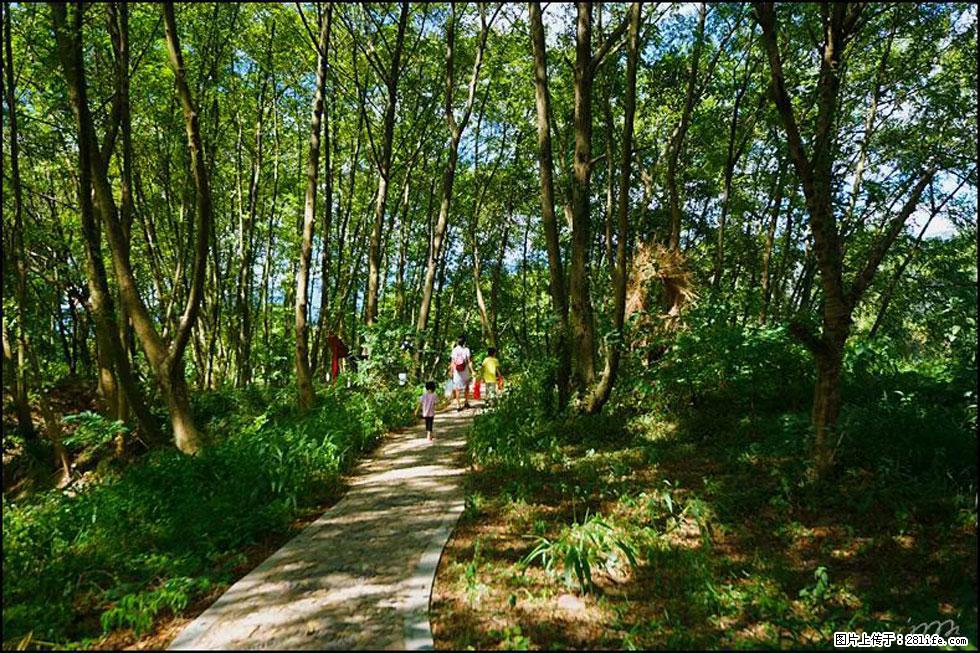 【春天,广西桂林灌阳县向您发出邀请!】熊家寨湿地公园 - 游山玩水 - 赵县生活社区 - 赵县28生活网 zx.28life.com