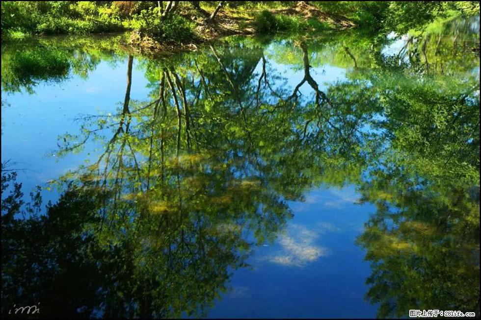 【春天,广西桂林灌阳县向您发出邀请!】熊家寨湿地公园 - 游山玩水 - 赵县生活社区 - 赵县28生活网 zx.28life.com