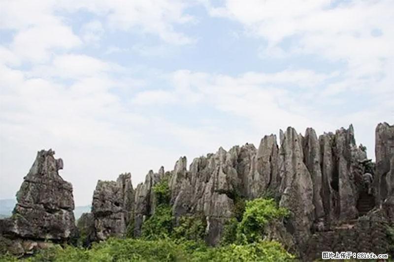 桂林旅游名城景点:灌阳文市石林 - 游山玩水 - 赵县生活社区 - 赵县28生活网 zx.28life.com