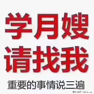 为什么要学习月嫂，育婴师？ - 赵县28生活网 zx.28life.com