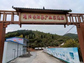 【灌阳县油茶产业示范区】一个有着充实的精神生活的人，对待身外之物自会有一种淡泊的态度 - 赵县28生活网 zx.28life.com