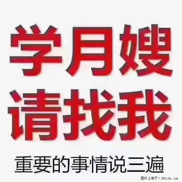 【招聘】月嫂,上海徐汇区 - 职场交流 - 赵县生活社区 - 赵县28生活网 zx.28life.com