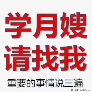【招聘】月嫂，上海徐汇区 - 赵县28生活网 zx.28life.com