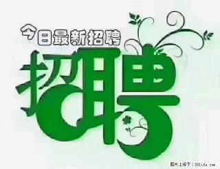 上海青浦区招仓管 - 赵县28生活网 zx.28life.com