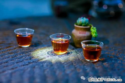 时间果百年古树2025年春红茶 - 购物交流 - 赵县生活社区 - 赵县28生活网 zx.28life.com