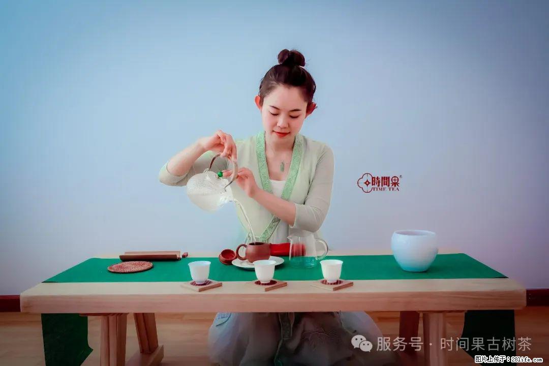 时间果百年古树龙珠普洱生茶 - 购物交流 - 赵县生活社区 - 赵县28生活网 zx.28life.com