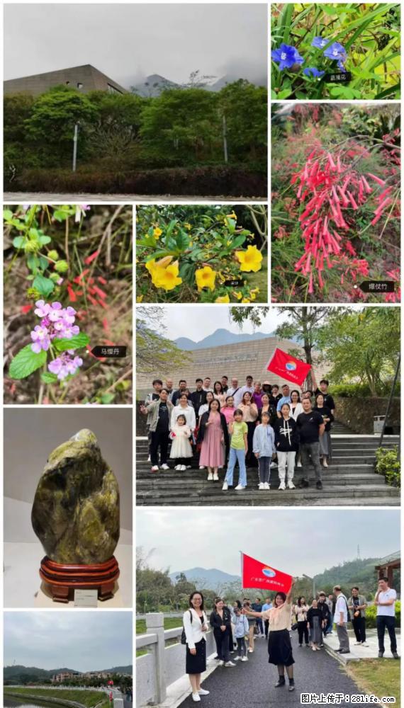 “粤灌文化 美好生活”油茶文化主题活动在广东深圳成功举办 - 赵县生活资讯 - 赵县28生活网 zx.28life.com