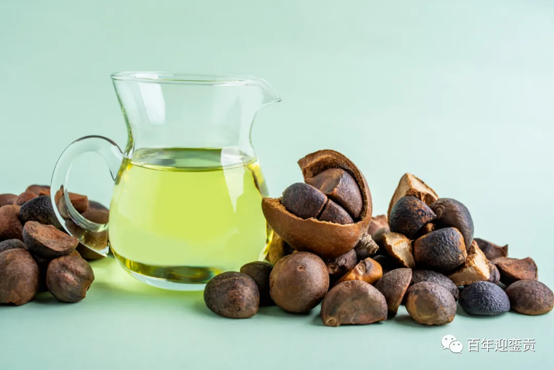 世界没有真相,只有认知,最好的食用油是中国的山茶油! - 赵县生活资讯 - 赵县28生活网 zx.28life.com