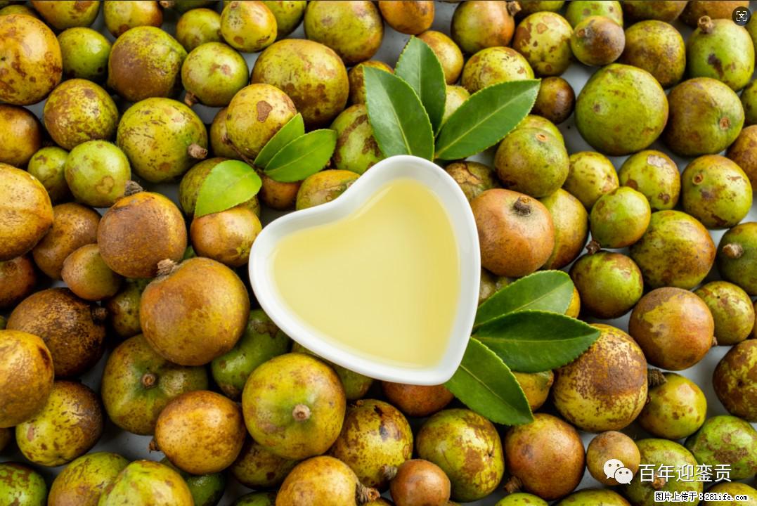 世界没有真相,只有认知,最好的食用油是中国的山茶油! - 赵县生活资讯 - 赵县28生活网 zx.28life.com