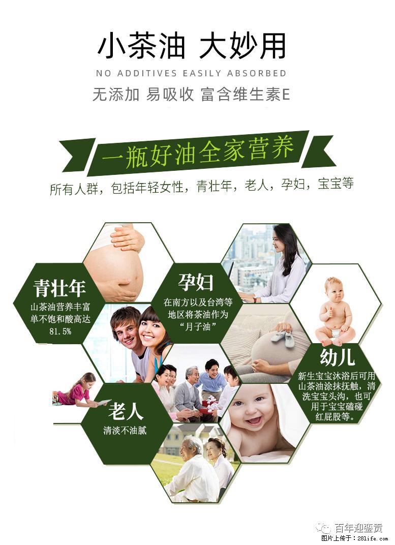 世界没有真相,只有认知,最好的食用油是中国的山茶油! - 赵县生活资讯 - 赵县28生活网 zx.28life.com