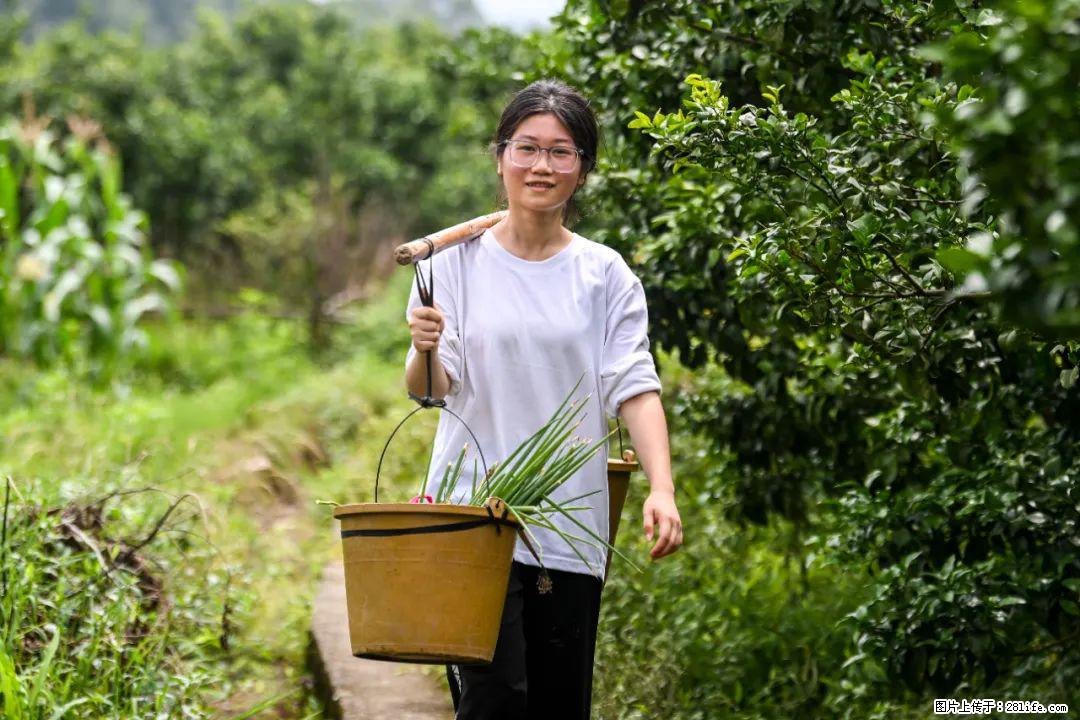 全网追的“扁担女孩”,找了一份暑假工,时薪12元 - 赵县生活资讯 - 赵县28生活网 zx.28life.com