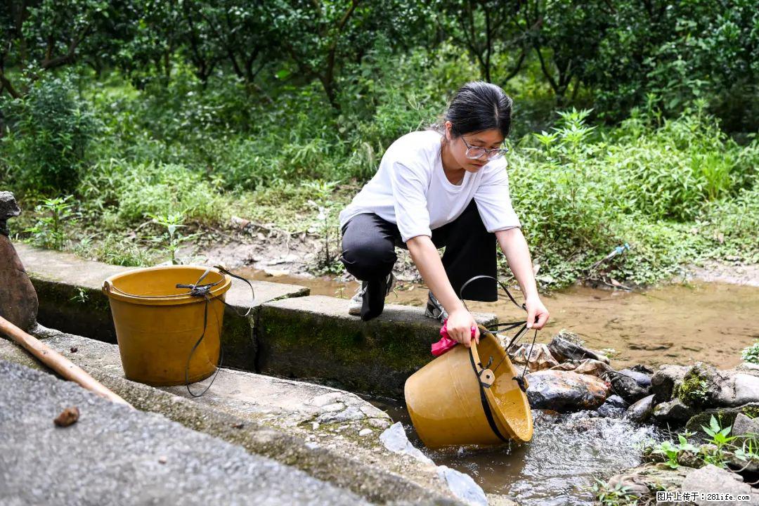 全网追的“扁担女孩”,找了一份暑假工,时薪12元 - 赵县生活资讯 - 赵县28生活网 zx.28life.com