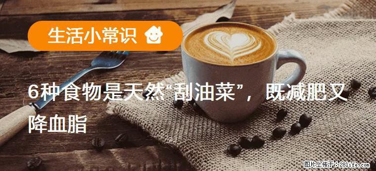 【生活小常识】6种食物是天然“刮油菜”,既减肥又降血脂 - 赵县生活资讯 - 赵县28生活网 zx.28life.com